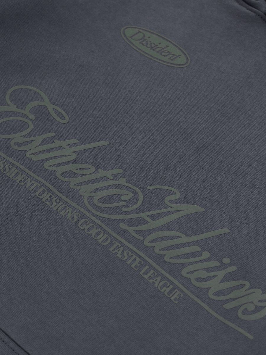 DISSIDENT — Худи Esthetic Advisors Hoodie in Concrete
