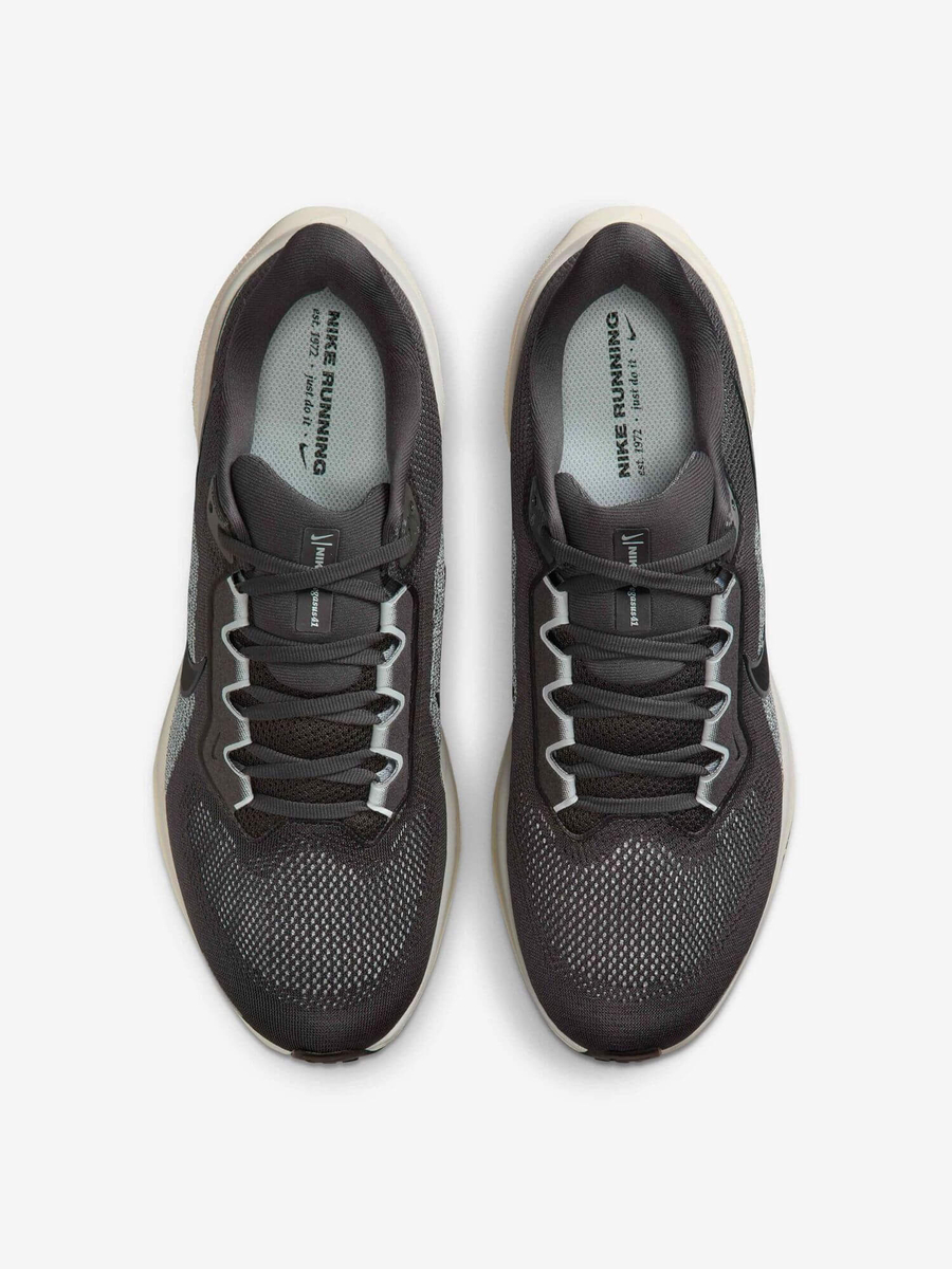 NIKE — Кроссовки Air Zoom Pegasus 41 Medium Ash/Pure Platinum