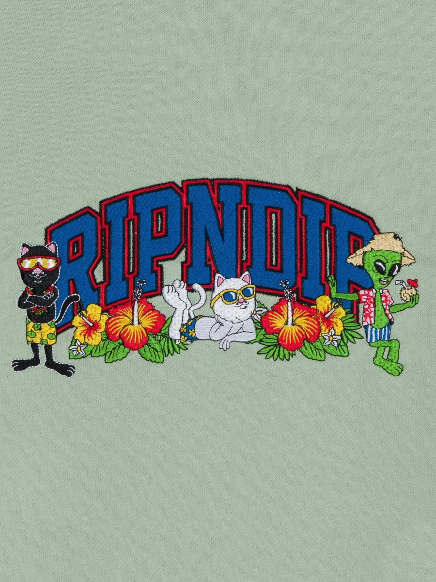 RIPNDIP — Худи Summer Friends Sage