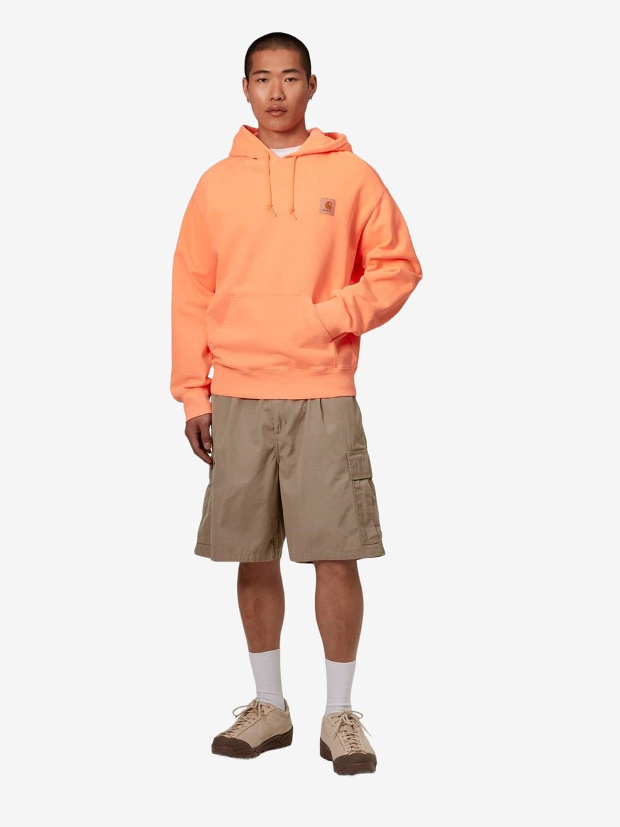 CARHARTT WIP — Шорты Cole Cargo Branch (Rinsed)